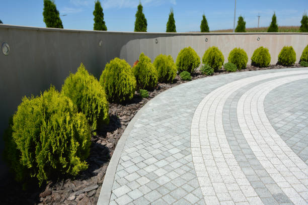 Best Driveway Pavers Near Me  in Springville, NY